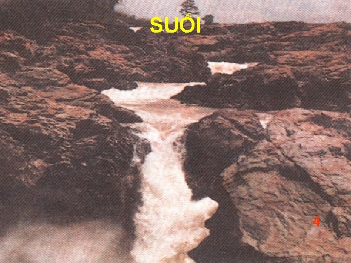 SUỐI 4 