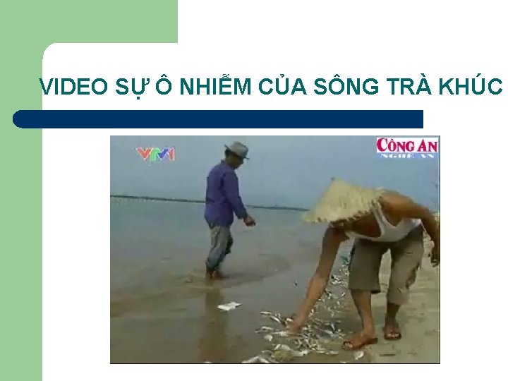 VIDEO SỰ Ô NHIỄM CỦA SÔNG TRÀ KHÚC 