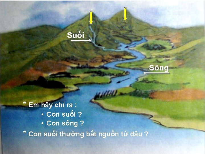 Suối Sông * Em hãy chỉ ra : • Con suối ? • Con