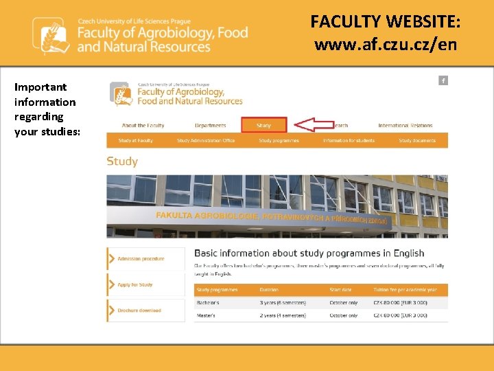 FACULTY WEBSITE: www. af. czu. cz/en Important information regarding your studies: FACULTY WEBSITE: www. af. czu. cz/en Important information regarding your studies: