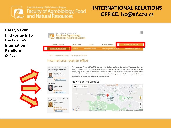 INTERNATIONAL RELATIONS OFFICE: iro@af. czu. cz Here you can find contacts to the faculty's INTERNATIONAL RELATIONS OFFICE: iro@af. czu. cz Here you can find contacts to the faculty's