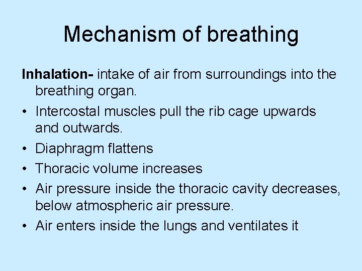 Mechanism of breathing Inhalation- intake of air from surroundings into the breathing organ. •