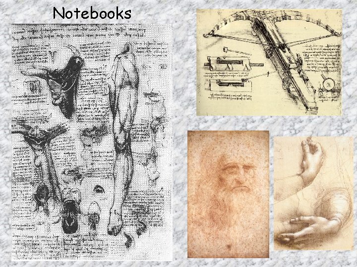 Notebooks 