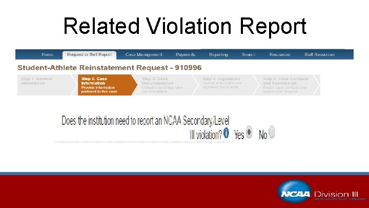Related Violation Report 
