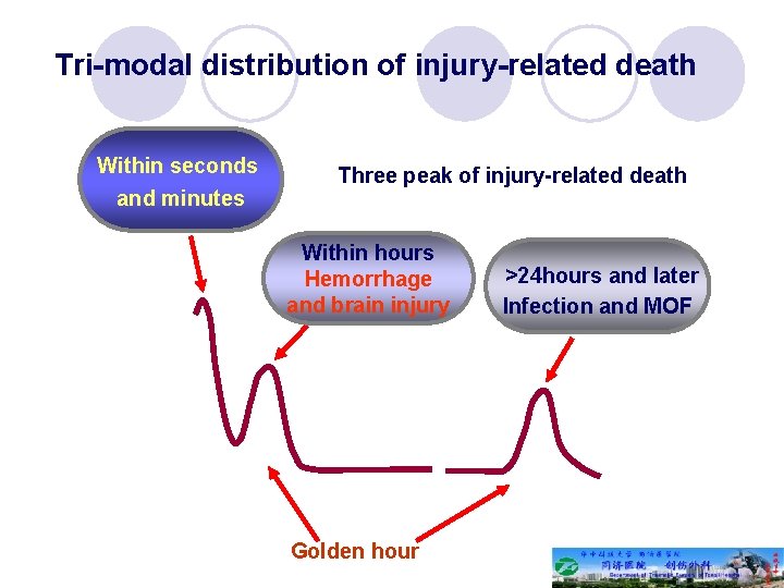 Tri-modal distribution of injury-related death Within seconds and minutes Three peak of injury-related death