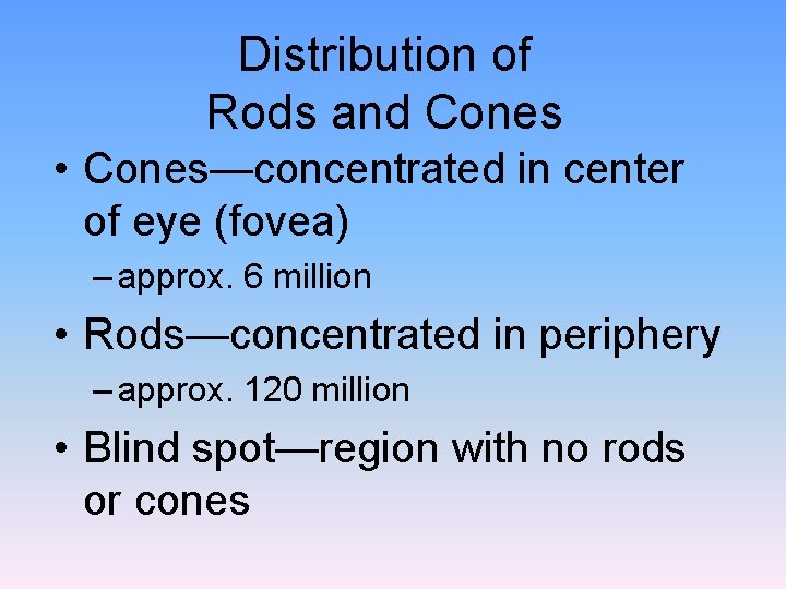 Distribution of Rods and Cones • Cones—concentrated in center of eye (fovea) – approx.