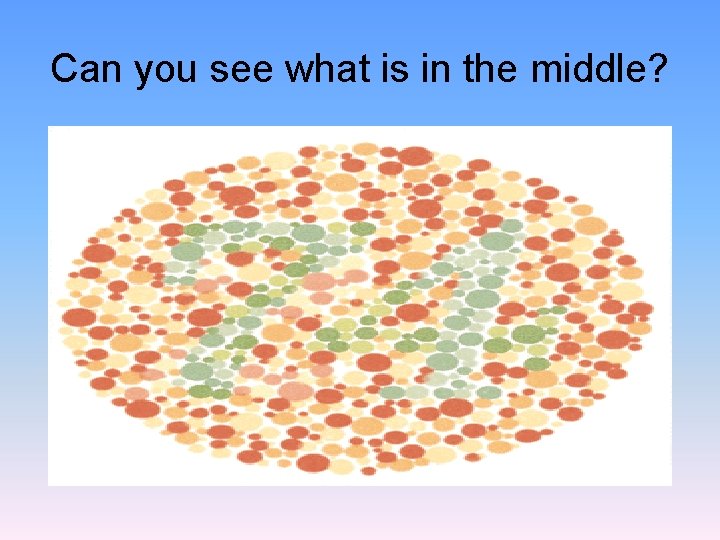Can you see what is in the middle? 