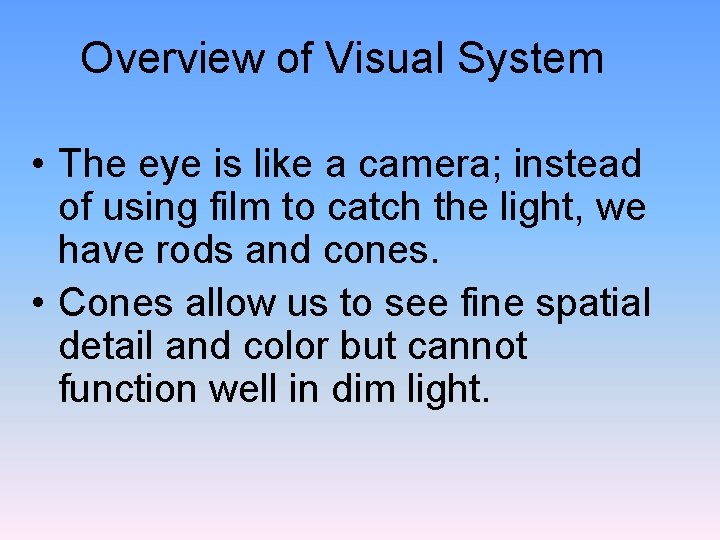 Overview of Visual System • The eye is like a camera; instead of using