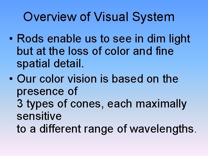 Overview of Visual System • Rods enable us to see in dim light but