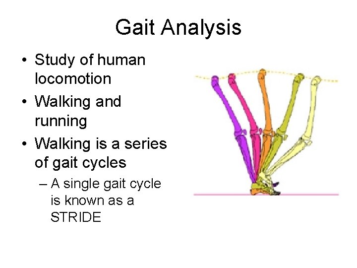 Gait Analysis • Study of human locomotion • Walking and running • Walking is