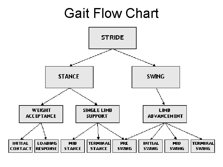 Gait Flow Chart 
