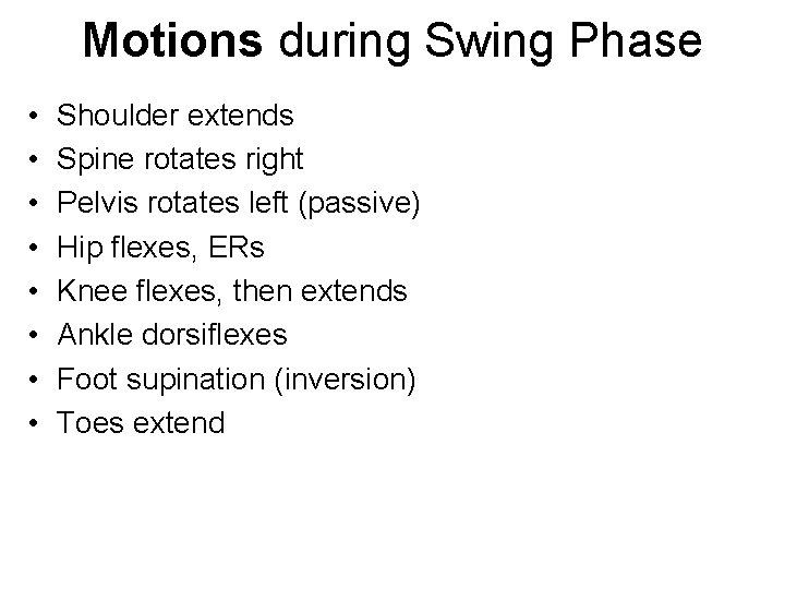 Motions during Swing Phase • • Shoulder extends Spine rotates right Pelvis rotates left