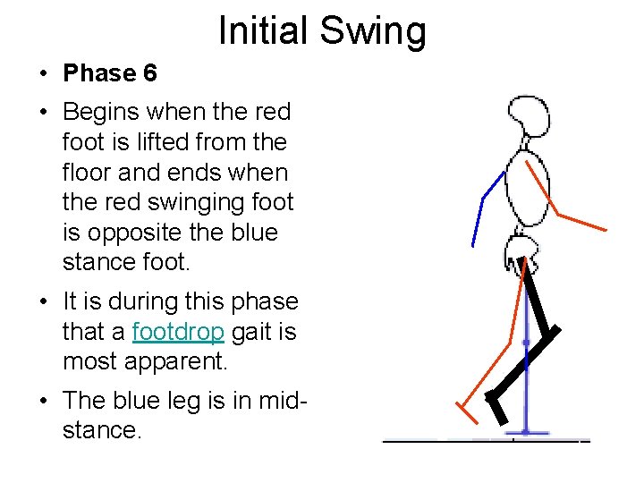 Initial Swing • Phase 6 • Begins when the red foot is lifted from