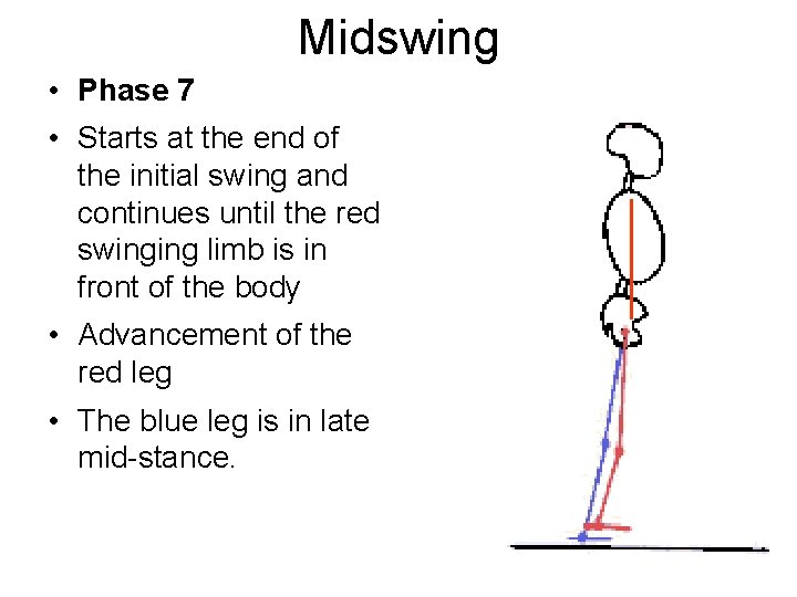 Midswing • Phase 7 • Starts at the end of the initial swing and