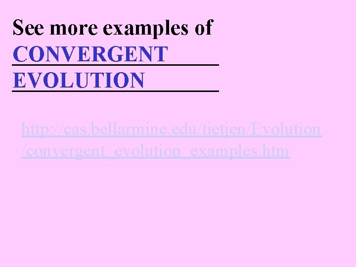 See more examples of __________ CONVERGENT __________ EVOLUTION http: //cas. bellarmine. edu/tietjen/Evolution /convergent_evolution_examples. htm
