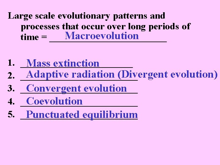 Large scale evolutionary patterns and processes that occur over long periods of Macroevolution time
