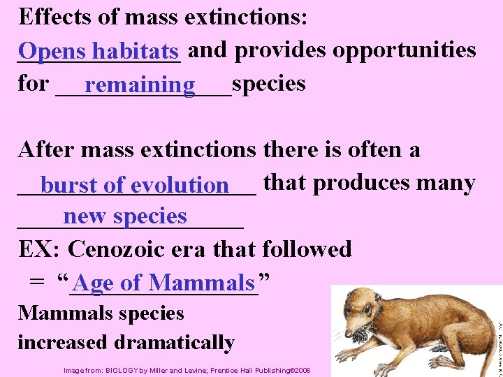 Effects of mass extinctions: _______ Opens habitats and provides opportunities for _______species remaining After