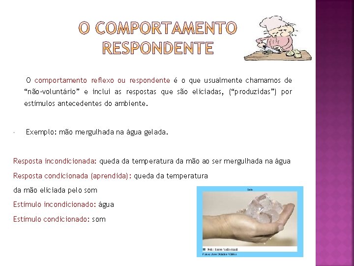 O comportamento reflexo ou respondente é o que usualmente chamamos de “não-voluntário” e O comportamento reflexo ou respondente é o que usualmente chamamos de “não-voluntário” e