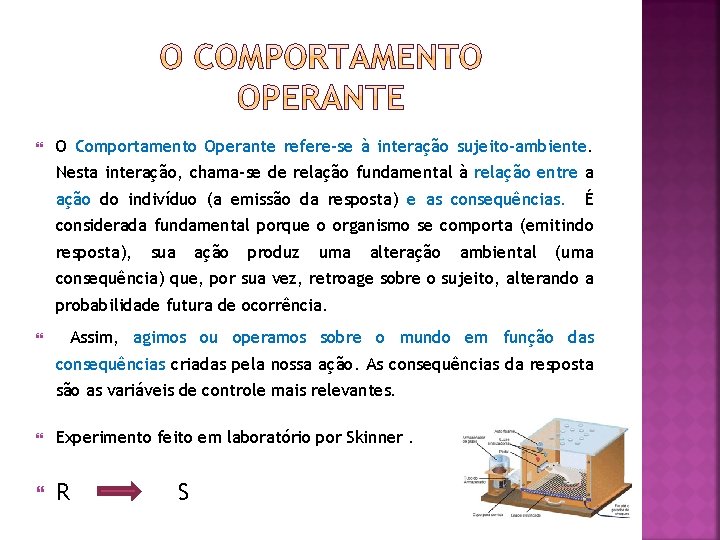 O Comportamento Operante refere-se à interação sujeito-ambiente. Nesta interação, chama-se de relação fundamental O Comportamento Operante refere-se à interação sujeito-ambiente. Nesta interação, chama-se de relação fundamental
