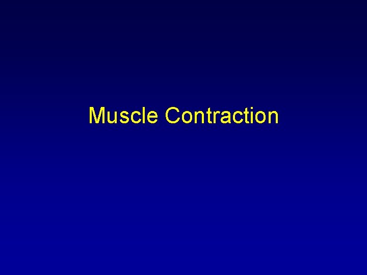 Muscle Contraction 