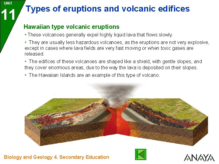 UNIT 11 Types of eruptions and volcanic edifices Hawaiian type volcanic eruptions • These