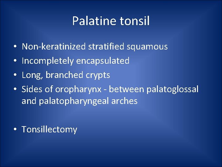 Palatine tonsil • • Non-keratinized stratified squamous Incompletely encapsulated Long, branched crypts Sides of Palatine tonsil • • Non-keratinized stratified squamous Incompletely encapsulated Long, branched crypts Sides of