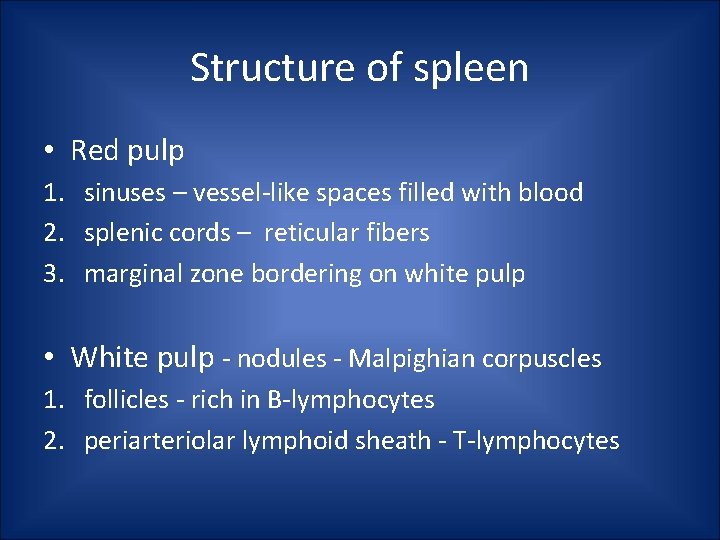 Structure of spleen • Red pulp 1. sinuses – vessel-like spaces filled with blood Structure of spleen • Red pulp 1. sinuses – vessel-like spaces filled with blood