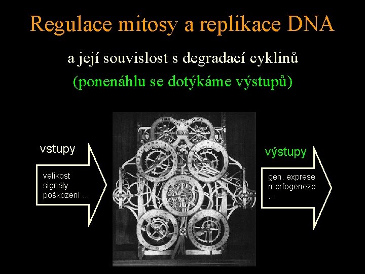 Regulace mitosy a replikace DNA a její souvislost s degradací cyklinů (ponenáhlu se dotýkáme