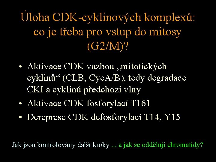 Úloha CDK-cyklinových komplexů: co je třeba pro vstup do mitosy (G 2/M)? • Aktivace