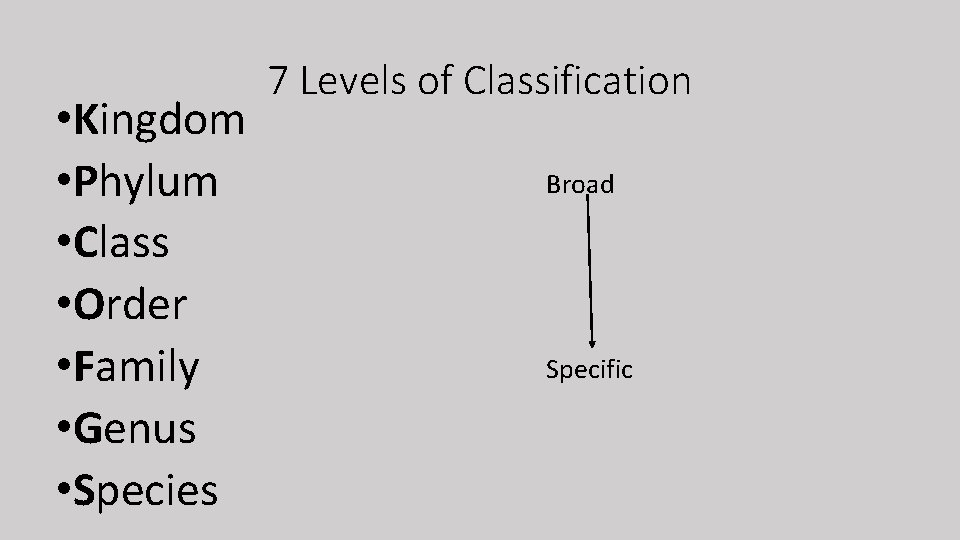  • Kingdom • Phylum • Class • Order • Family • Genus •