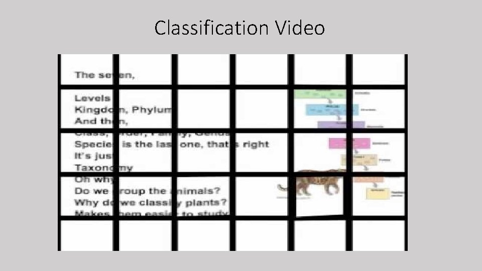 Classification Video 