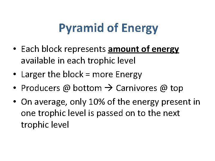 Pyramid of Energy • Each block represents amount of energy available in each trophic