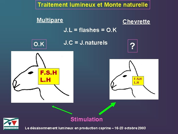 Traitement lumineux et Monte naturelle Multipare Chevrette J. L = flashes = O. K
