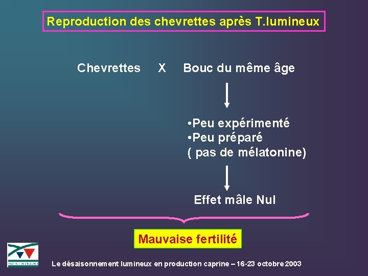 Reproduction des chevrettes après T. lumineux Chevrettes X Bouc du même âge • Peu