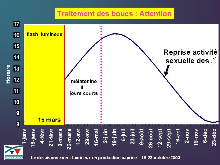 Traitement des boucs : Attention Reprise activité sexuelle des ♂ Le désaisonnement lumineux en