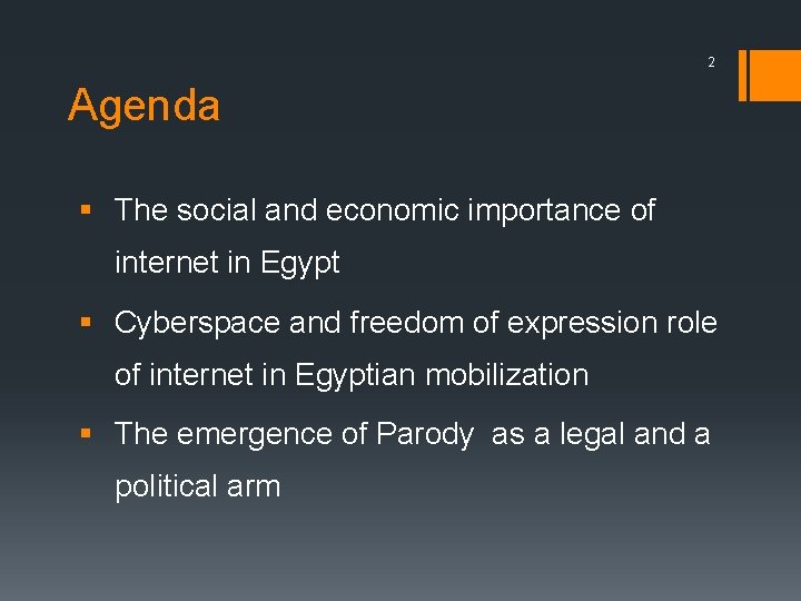 2 Agenda § The social and economic importance of internet in Egypt § Cyberspace