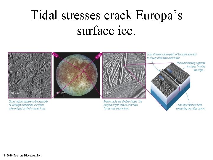 Tidal stresses crack Europa’s surface ice. © 2010 Pearson Education, Inc. 