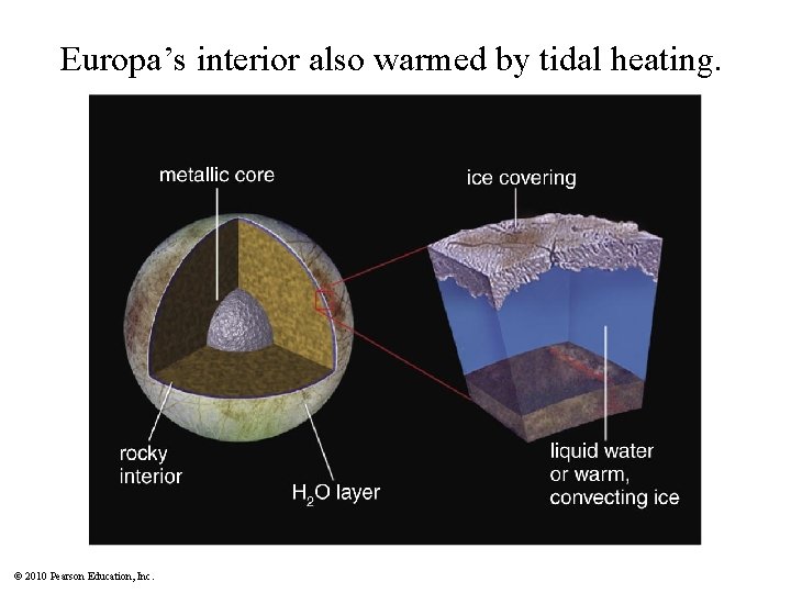 Europa’s interior also warmed by tidal heating. © 2010 Pearson Education, Inc. 
