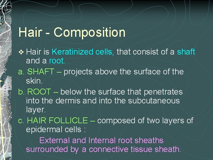 Hair - Composition v Hair is Keratinized cells, that consist of a shaft and