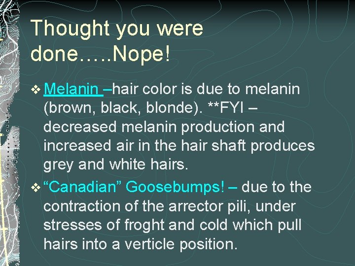 Thought you were done…. . Nope! v Melanin –hair color is due to melanin