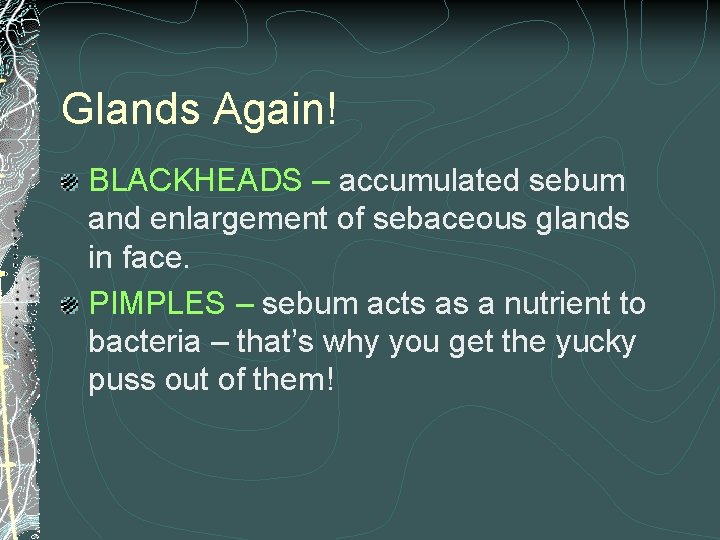 Glands Again! BLACKHEADS – accumulated sebum and enlargement of sebaceous glands in face. PIMPLES
