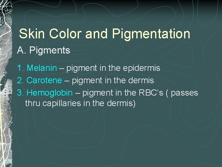 Skin Color and Pigmentation A. Pigments 1. Melanin – pigment in the epidermis 2.