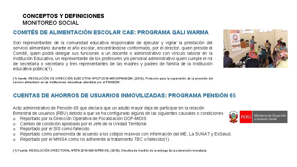 CONCEPTOS Y DEFINICIONES MONITOREO SOCIAL COMITÉS DE ALIMENTACIÓN ESCOLAR CAE: PROGRAMA QALI WARMA Son