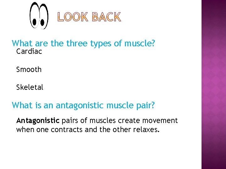 What are three types of muscle? Cardiac Smooth Skeletal What is an antagonistic muscle