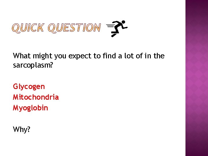 What might you expect to find a lot of in the sarcoplasm? Glycogen Mitochondria