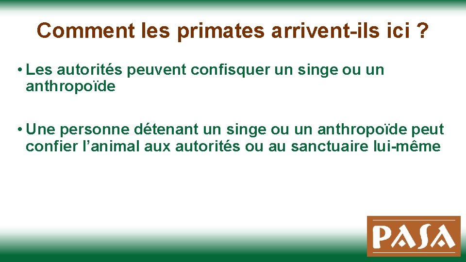 Comment les primates arrivent-ils ici ? • Les autorités peuvent confisquer un singe ou