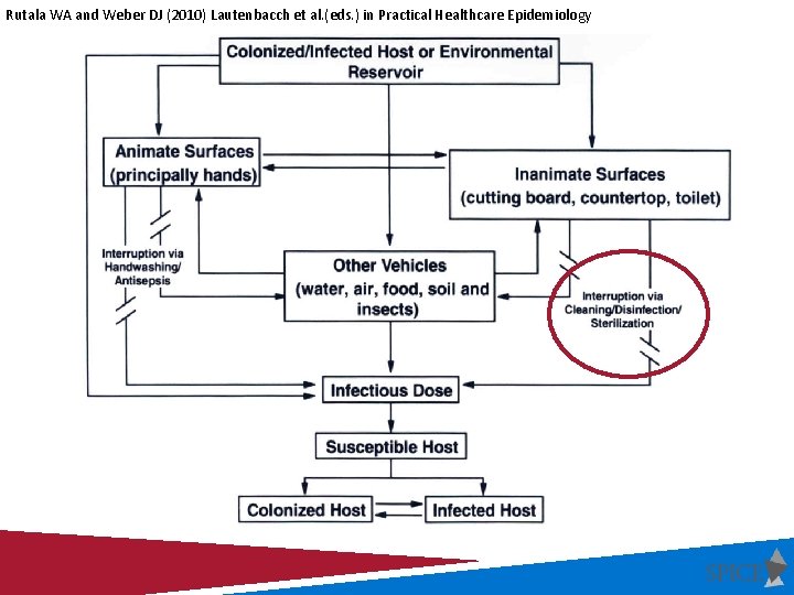 Rutala WA and Weber DJ (2010) Lautenbacch et al. (eds. ) in Practical Healthcare Rutala WA and Weber DJ (2010) Lautenbacch et al. (eds. ) in Practical Healthcare