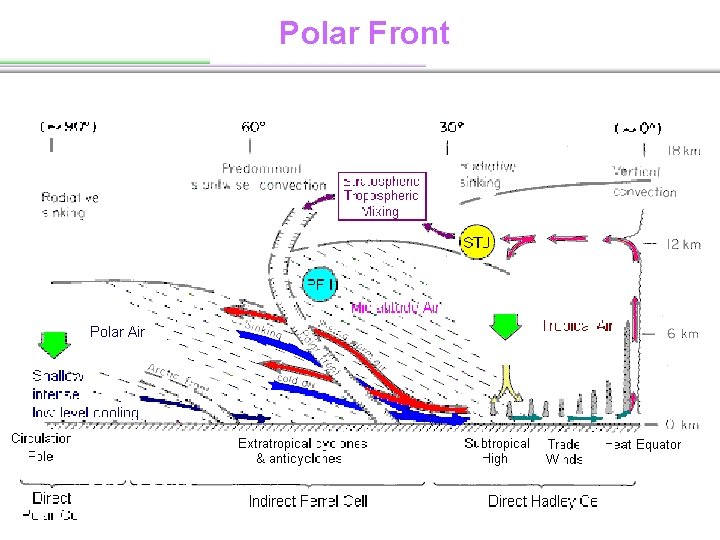 Polar Front 