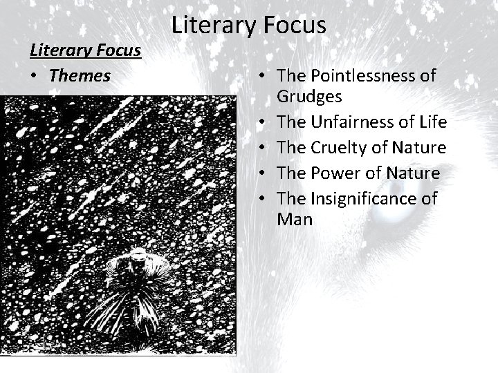 Literary Focus • Themes Literary Focus • The Pointlessness of Grudges • The Unfairness