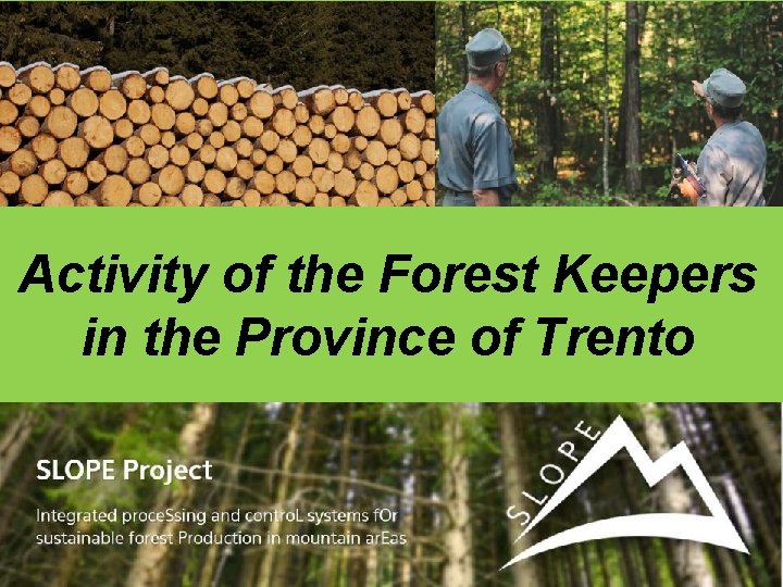 Activity of the Forest Keepers in the Province of Trento 